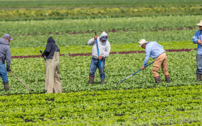 S4E2: Protecting Farm Workers’ in the Heat of Climate Change with Jeannie Economos and Dominique O’Connor