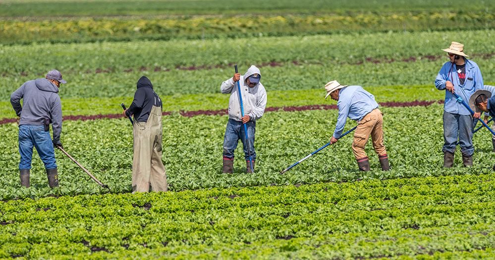 S4E2: Protecting Farm Workers’ in the Heat of Climate Change with Jeannie Economos and Dominique O’Connor